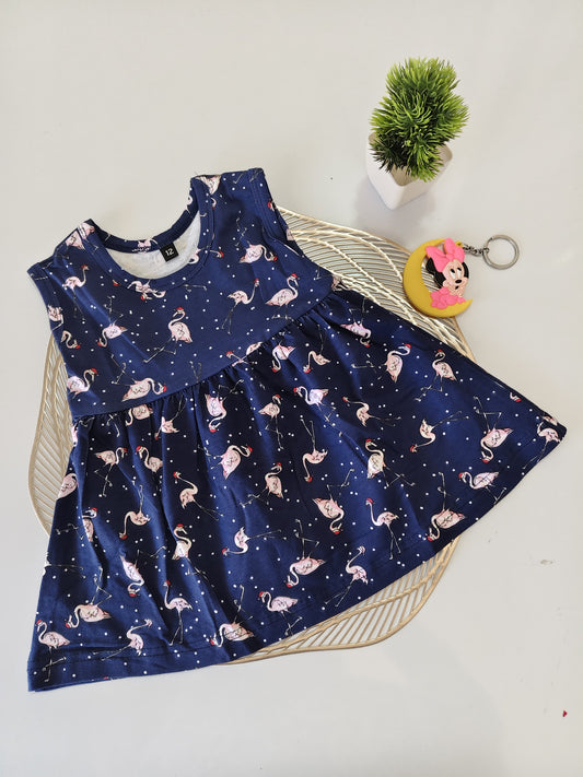 Blue Crane Baby Frock