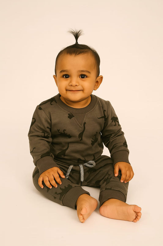 Ash dino baby winter set