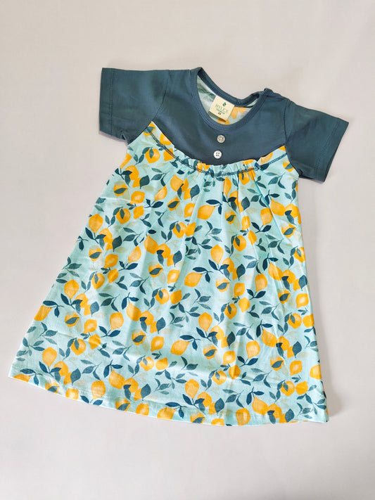 Blue With Lemon Magic Button Frock