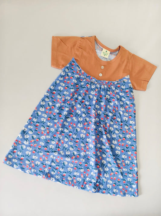 Brown With Blue Magic Button Frock